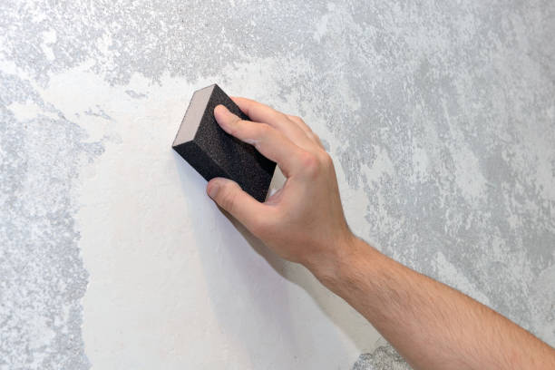Best Mold Remediation for Healthcare Facilities  in The Crossings, FL