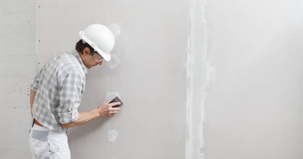 Best Mold Odor Removal Services  in The Crossings, FL