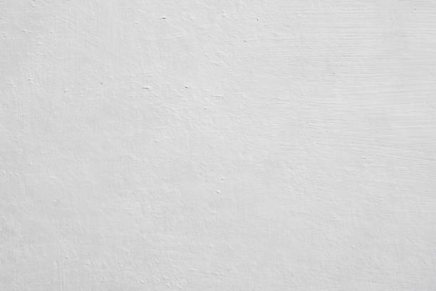 Best Black Mold Removal  in The Crossings, FL