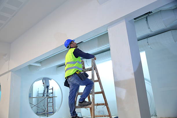  The Crossings, FL Mold Removal Pros